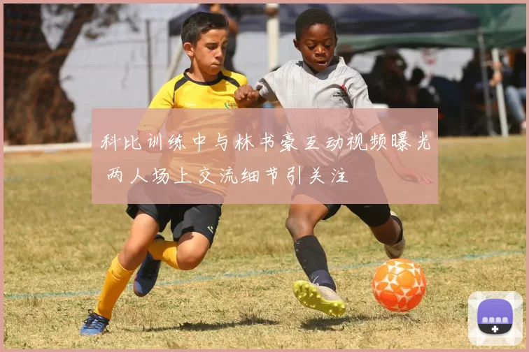 科比训练中与林书豪互动视频曝光 两人场上交流细节引关注