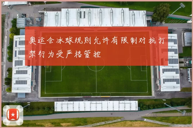 奥运会冰球规则允许有限制对抗打架行为受严格管控