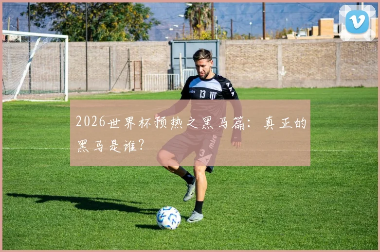 2026世界杯预热之黑马篇：真正的黑马是谁？